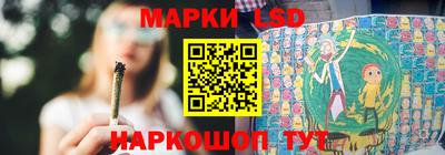 прущие грибы Краснознаменск