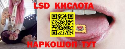 прущие грибы Краснознаменск