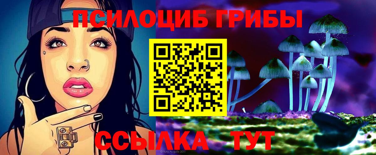 Ярцево  Галлюциногенные грибы мицелий  Псилоцибиновые грибы Cubensis  Вход с VPN 